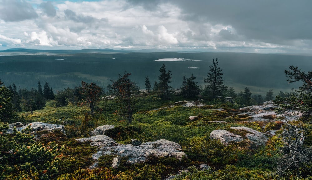 Liikavaaragruvan boliden